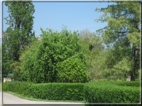 foto Colline tra Fonte Alto e Paderno del Grappa